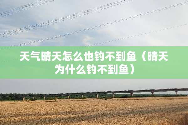 天气晴天怎么也钓不到鱼（晴天为什么钓不到鱼）