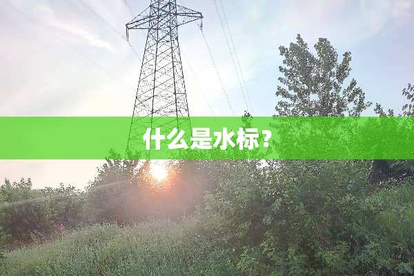 什么是水标？