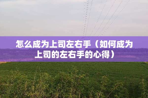 怎么成为上司左右手（如何成为上司的左右手的心得）