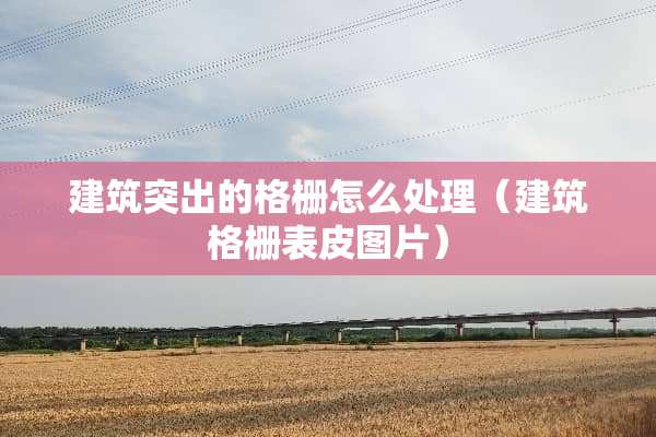 建筑突出的格栅怎么处理（建筑格栅表皮图片）