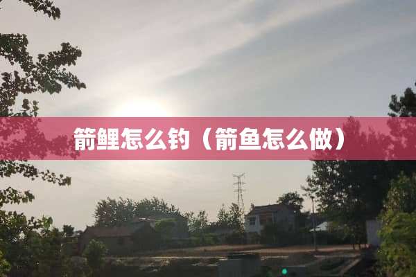箭鲤怎么钓（箭鱼怎么做）