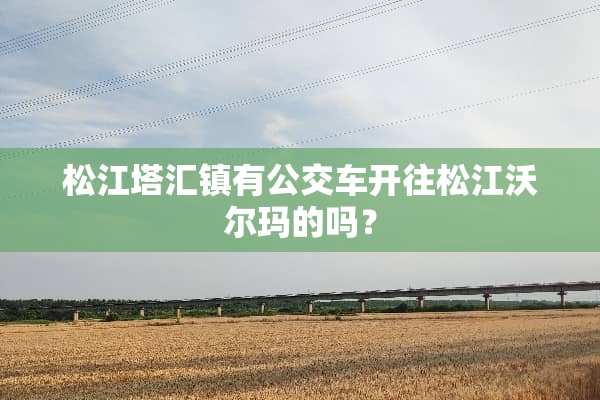 松江塔汇镇有公交车开往松江沃尔玛的吗？