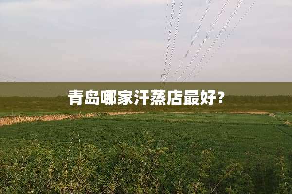 青岛哪家汗蒸店最好？