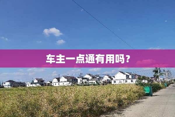 车主一点通有用吗？