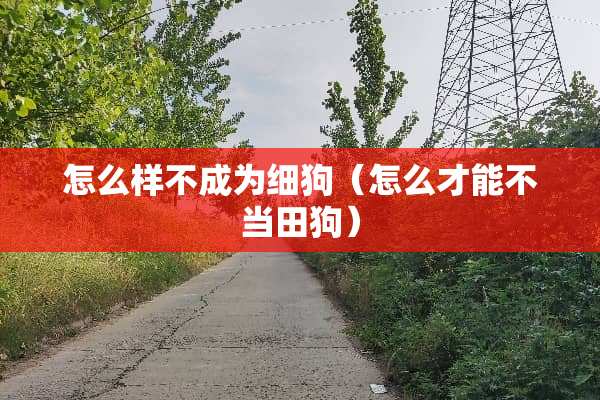 怎么样不成为细狗（怎么才能不当田狗）