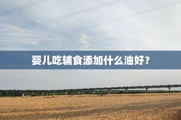 婴儿吃辅食添加什么油好？