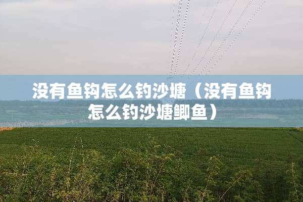 没有鱼钩怎么钓沙塘（没有鱼钩怎么钓沙塘鲫鱼）