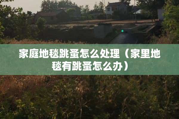 家庭地毯跳蚤怎么处理（家里地毯有跳蚤怎么办）