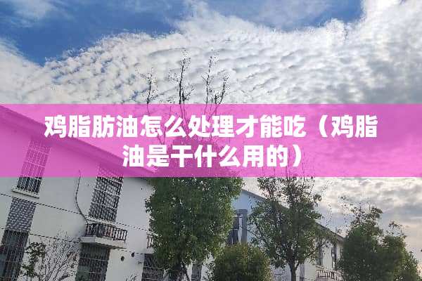 鸡脂肪油怎么处理才能吃（鸡脂油是干什么用的）
