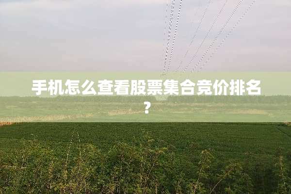 手机怎么查看股票集合竞价排名？