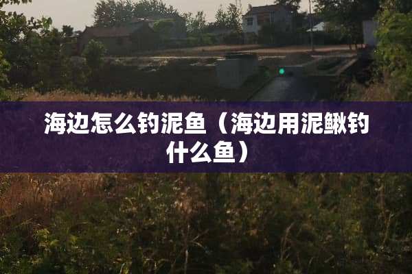 海边怎么钓泥鱼（海边用泥鳅钓什么鱼）