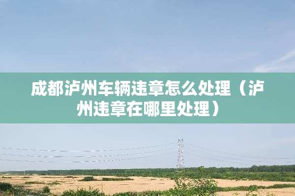 成都泸州车辆违章怎么处理（泸州违章在哪里处理）