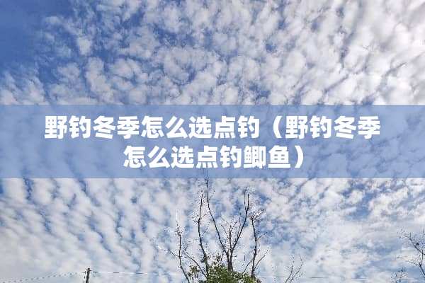 野钓冬季怎么选点钓（野钓冬季怎么选点钓鲫鱼）