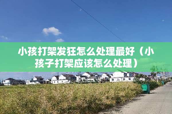 小孩打架发狂怎么处理最好（小孩子打架应该怎么处理）