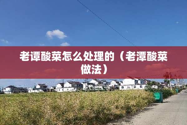 老谭酸菜怎么处理的（老潭酸菜做法）