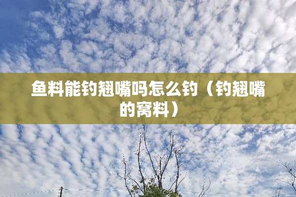 鱼料能钓翘嘴吗怎么钓（钓翘嘴的窝料）