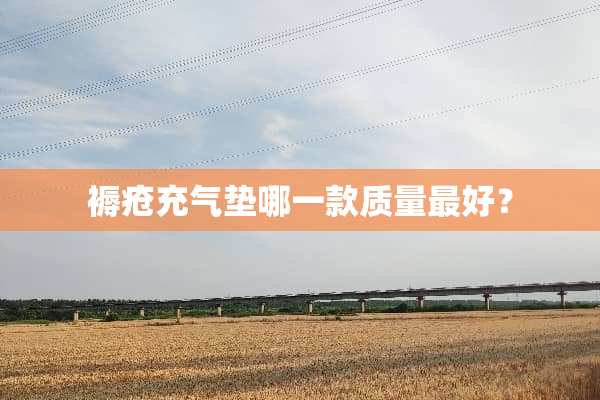褥疮充气垫哪一款质量最好？
