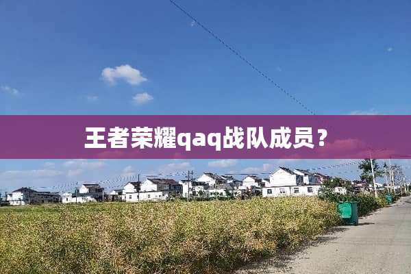 王者荣耀qaq战队成员？