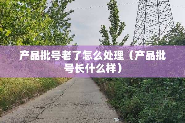 产品批号老了怎么处理（产品批号长什么样）