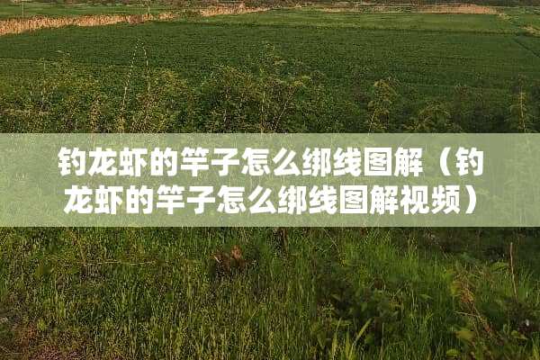 钓龙虾的竿子怎么绑线图解（钓龙虾的竿子怎么绑线图解视频）