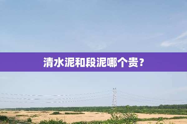 清水泥和段泥哪个贵？