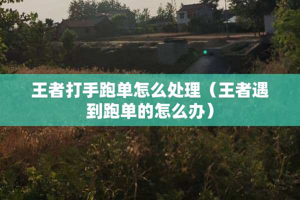 王者**跑单怎么处理（王者遇到跑单的怎么办）