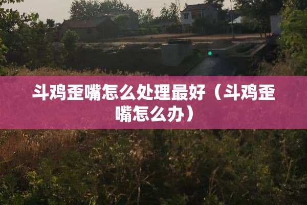 斗鸡歪嘴怎么处理最好（斗鸡歪嘴怎么办）