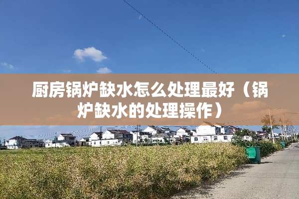 厨房锅炉缺水怎么处理最好（锅炉缺水的处理操作）