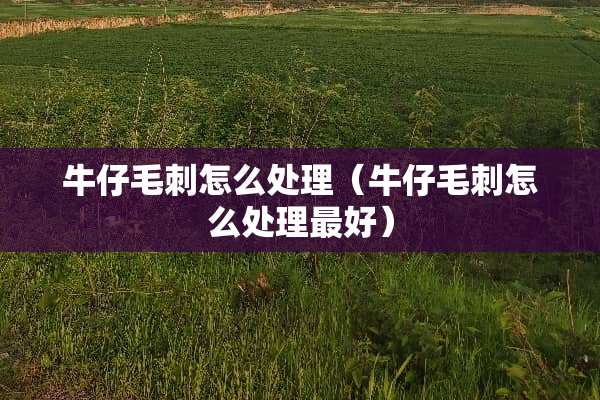 牛仔毛刺怎么处理（牛仔毛刺怎么处理最好）