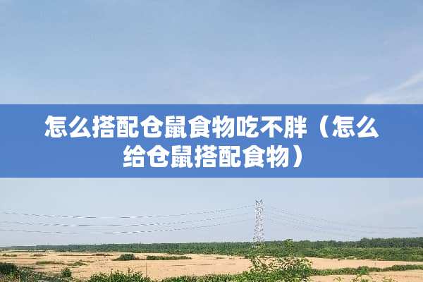 怎么搭配仓鼠食物吃不胖（怎么给仓鼠搭配食物）
