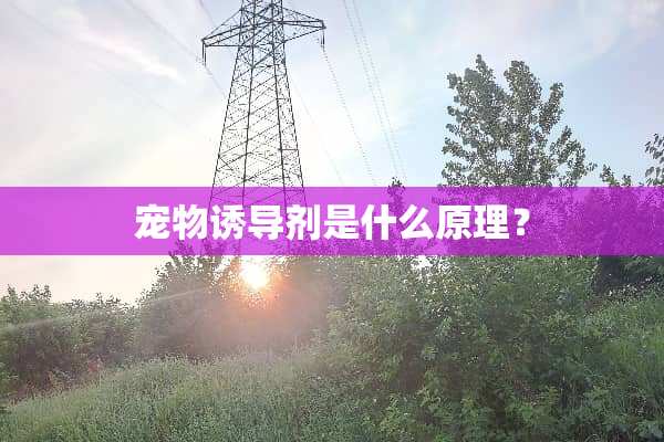 宠物诱导剂是什么原理？