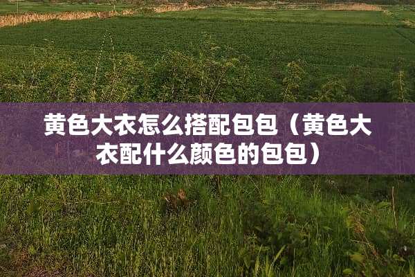 **大衣怎么搭配包包（**大衣配什么颜色的包包）