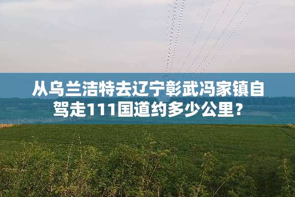 从乌兰洁特去辽宁彰武冯家镇自驾走111国道约多少公里？