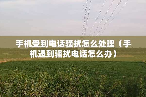 手机受到电话*扰怎么处理（手机遇到*扰电话怎么办）