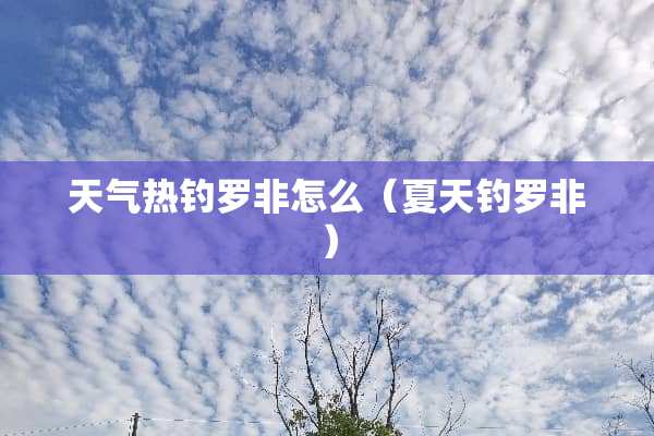 天气热钓罗非怎么（夏天钓罗非）