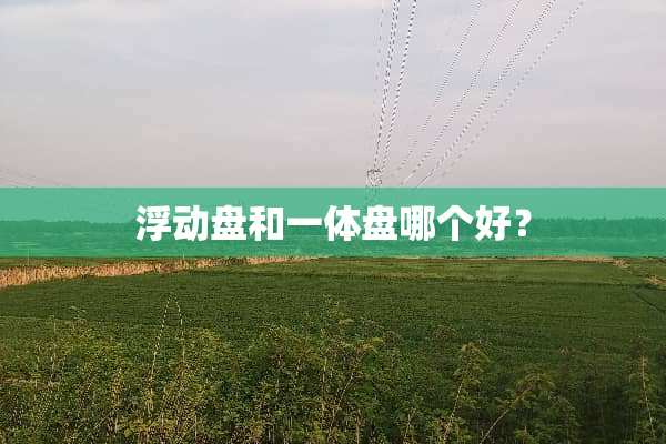 浮动盘和一体盘哪个好？