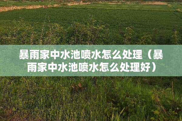 暴雨家中水池喷水怎么处理（暴雨家中水池喷水怎么处理好）