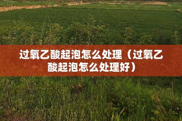 过氧乙酸起泡怎么处理（过氧乙酸起泡怎么处理好）