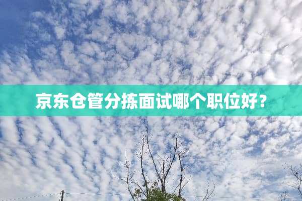 京东仓管分拣面试哪个职位好？