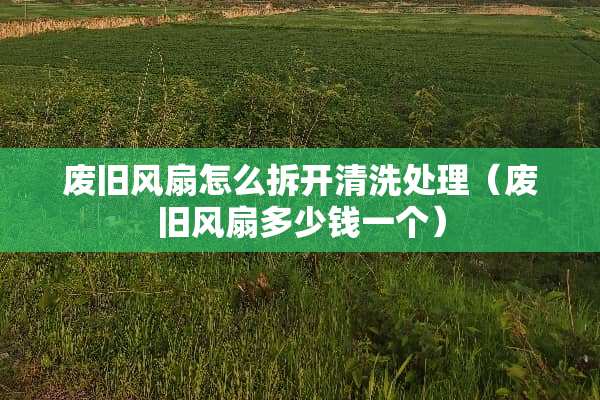 废旧风扇怎么拆开清洗处理（废旧风扇多少钱一个）