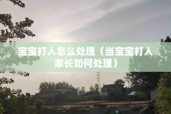 宝宝打人怎么处理（当宝宝打人家长如何处理）