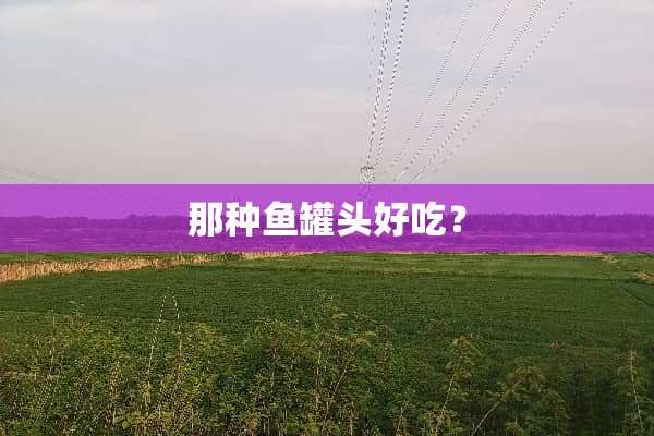 那种鱼罐头好吃？