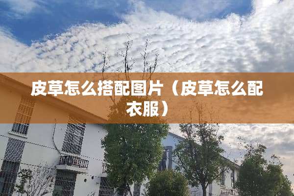 皮草怎么搭配图片（皮草怎么配衣服）