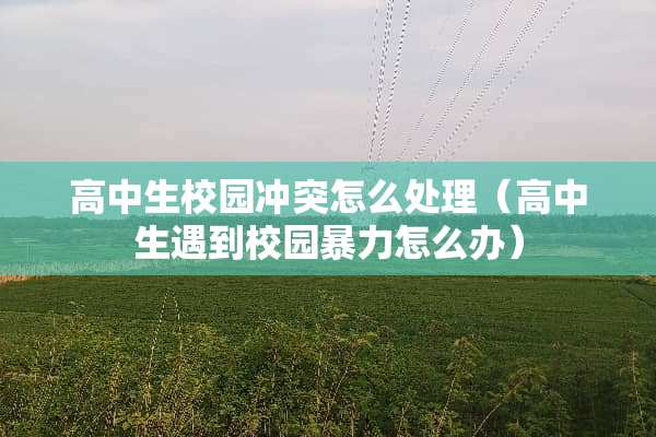 高中生校园冲突怎么处理（高中生遇到校园**怎么办）