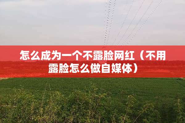 怎么成为一个不露脸网红（不用露脸怎么做自媒体）