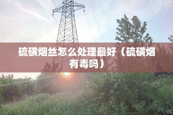 硫磺烟丝怎么处理最好（硫磺烟有毒吗）