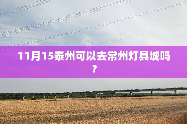 11月15泰州可以去常州灯具城吗？