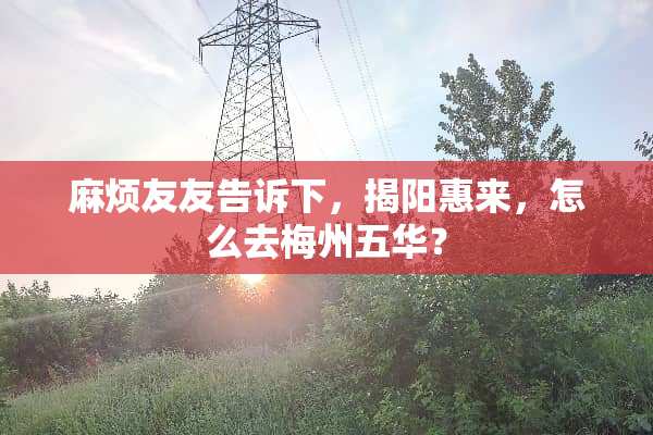 麻烦友友告诉下，揭阳惠来，怎么去梅州五华？