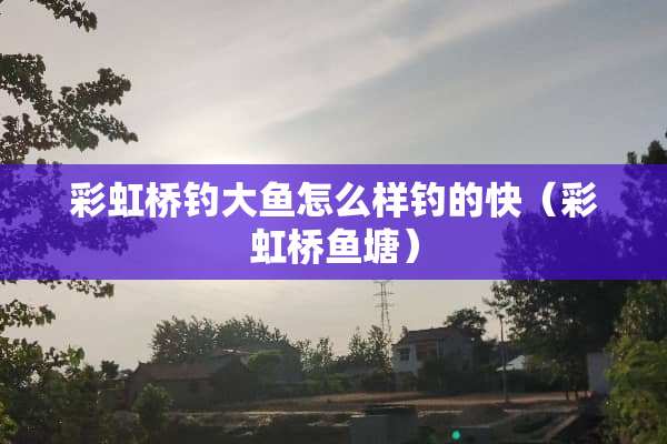 彩虹桥钓大鱼怎么样钓的快（彩虹桥鱼塘）
