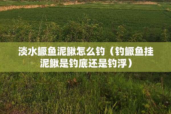 淡水鳜鱼泥鳅怎么钓（钓鳜鱼挂泥鳅是钓底还是钓浮）
